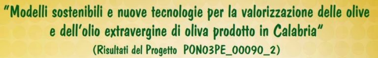 valorizzazione delle olive e dell'olio extravergine di oliva